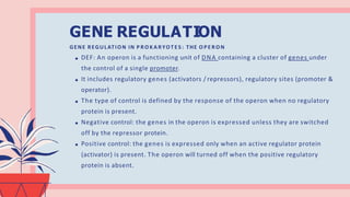 Gene Regulation is a process involved under Gene Expression | PPTX