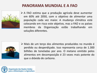  A FAO estima que a produção agrícola deve aumentar
em 60% até 2050, com o objetivo de alimentar uma
população cada vez maior. A mudança climática está
colocando em risco este objetivo, mas a FAO e os países
membros da Organização estão trabalhando em
soluções diferentes.
PANORAMA MUNDIAL E A FAO
 Mais de um terço dos alimentos produzidos no mundo é
perdido ou desperdiçado. Isso representa cerca de 1.300
bilhões de toneladas por ano. O metano emitido pelos
alimentos em decomposição é 23 vezes mais potente do
que o dióxido de carbono.
 