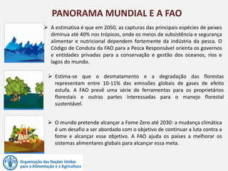 PANORAMA MUNDIAL E A FAO
 A estimativa é que em 2050, as capturas das principais espécies de peixes
diminua até 40% nos trópicos, onde os meios de subsistência e segurança
alimentar e nutricional dependem fortemente da indústria da pesca. O
Código de Conduta da FAO para a Pesca Responsável orienta os governos
e entidades privadas para a conservação e gestão dos oceanos, rios e
lagos do mundo.
 Estima-se que o desmatamento e a degradação das florestas
representam entre 10-11% das emissões globais de gases de efeito
estufa. A FAO prevê uma série de ferramentas para os proprietários
florestais e outras partes interessadas para o manejo florestal
sustentável.
 O mundo pretende alcançar a Fome Zero até 2030: a mudança climática
é um desafio a ser abordado com o objetivo de continuar a luta contra a
fome e alcançar esse objetivo. A FAO ajuda os países a melhorar os
sistemas alimentares globais para alcançar essa meta.
 
