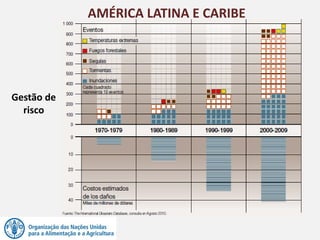 AMÉRICA LATINA E CARIBE
Gestão de
risco
 