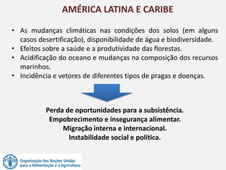 AMÉRICA LATINA E CARIBE
• As mudanças climáticas nas condições dos solos (em alguns
casos desertificação), disponibilidade de água e biodiversidade.
• Efeitos sobre a saúde e a produtividade das florestas.
• Acidificação do oceano e mudanças na composição dos recursos
marinhos.
• Incidência e vetores de diferentes tipos de pragas e doenças.
Perda de oportunidades para a subsistência.
Empobrecimento e insegurança alimentar.
Migração interna e internacional.
Instabilidade social e política.
 
