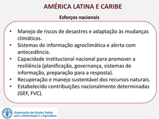 AMÉRICA LATINA E CARIBE
Esforços nacionais
• Manejo de riscos de desastres e adaptação às mudanças
climáticas.
• Sistemas de informação agroclimática e alerta com
antecedência.
• Capacidade institucional nacional para promover a
resiliência (planificação, governança, sistemas de
informação, preparação para a resposta).
• Recuperação e manejo sustentável dos recursos naturais.
• Estabelecido contribuições nacionalmente determinadas
(GEF, FVC).
 
