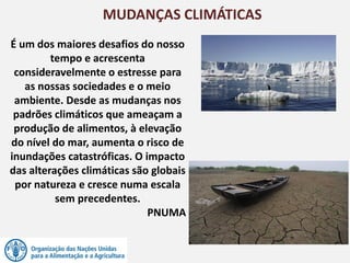 MUDANÇAS CLIMÁTICAS
É um dos maiores desafios do nosso
tempo e acrescenta
consideravelmente o estresse para
as nossas sociedades e o meio
ambiente. Desde as mudanças nos
padrões climáticos que ameaçam a
produção de alimentos, à elevação
do nível do mar, aumenta o risco de
inundações catastróficas. O impacto
das alterações climáticas são globais
por natureza e cresce numa escala
sem precedentes.
PNUMA
 