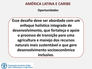 AMÉRICA LATINA E CARIBE
Oportunidades
Esse desafio deve ser abordado com um
enfoque holístico integrado de
desenvolvimento, que fortaleça e apoie
o processo de transição para uma
agricultura e manejo dos recursos
naturais mais sustentável e que gere
desenvolvimento socioeconômico
inclusivo.
 