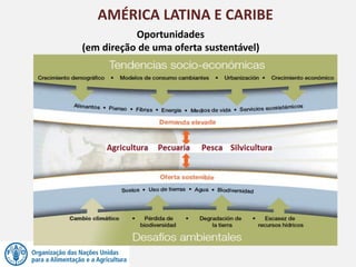 AMÉRICA LATINA E CARIBE
Oportunidades
(em direção de uma oferta sustentável)
 