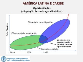 AMÉRICA LATINA E CARIBE
Oportunidades
(adaptação às mudanças climáticas)
 