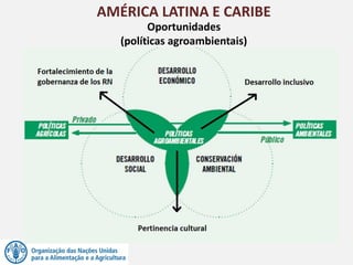 AMÉRICA LATINA E CARIBE
Oportunidades
(políticas agroambientais)
 