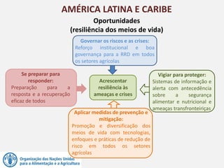 AMÉRICA LATINA E CARIBE
Oportunidades
(resiliência dos meios de vida)
Governar os riscos e as crises:
Reforço institucional e boa
governança para a RRD em todos
os setores agrícolas
Acrescentar
resiliência às
ameaças e crises
Se preparar para
responder:
Preparação para a
resposta e a recuperação
eficaz de todos
Vigiar para proteger:
Sistemas de informação e
alerta com antecedência
sobre a segurança
alimentar e nutricional e
ameaças transfronteiriças
Aplicar medidas de prevenção e
mitigação:
Promoção e diversificação dos
meios de vida com tecnologias,
enfoques e práticas de redução de
risco em todos os setores
agrícolas
 