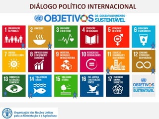 DIÁLOGO POLÍTICO INTERNACIONAL
 