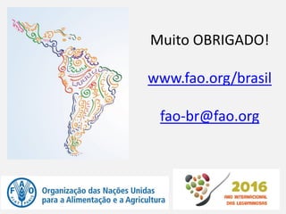 Muito OBRIGADO!
www.fao.org/brasil
fao-br@fao.org
 