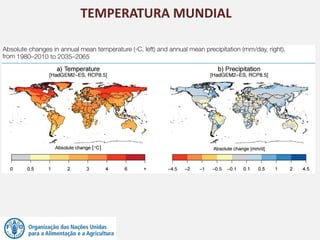 TEMPERATURA MUNDIAL
 