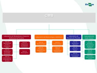 CMB
Laboratório de Metabolismo e Impactos
Ambientais da Pecuária
Setor de
Digestibilidade
in vitro e
Produção de
Gases
Setor de
Metabolismo
de Pequenos
Ruminantes
Setor de
Metabolismo
de Grandes
Ruminantes
Setor de
Bioenergética
Setor de
Gerenciamento
de Resíduos da
Pecuária
Laboratório de Biotecnologia e Ambiência
Setor de
Bioclimatologia
Setor de
Endocrinologia
Setor de
Fisiologia e
Diagnóstico por
Imagem
Setor de
Animais
Genéticamente
Modificados
Laboratório de
Pecuária de Precisão
Setor de
Bioeficiência
Alimentar
Setor de
Caprinos e
Ovinos
Setor de
Processamento
de Lácteos
Laboratório de
Saúde Animal
Setor de
Recepção e
Processamento
de Material
Biológico
Setor de
Análises
Biológicas
Baias para
Experimentação
Animal
 