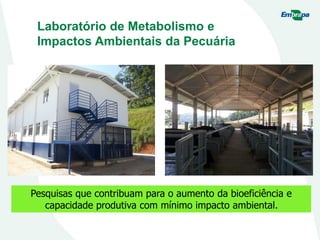 Laboratório de Metabolismo e
Impactos Ambientais da Pecuária
Pesquisas que contribuam para o aumento da bioeficiência e
capacidade produtiva com mínimo impacto ambiental.
 