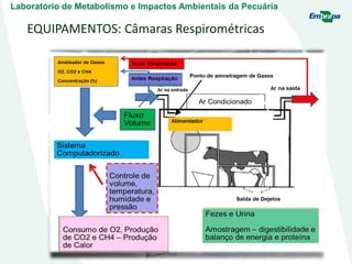 EQUIPAMENTOS: Câmaras Respirométricas
Laboratório de Metabolismo e Impactos Ambientais da Pecuária
 