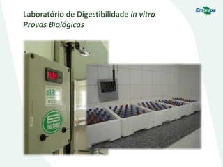 Laboratório de Digestibilidade in vitro
Provas Biológicas
 