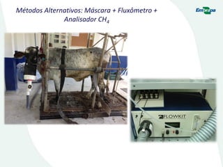 Métodos Alternativos: Máscara + Fluxômetro +
Analisador CH4
 