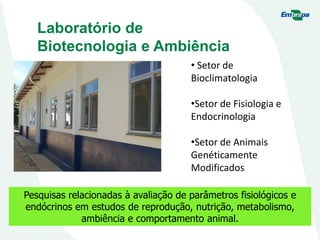 Laboratório de
Biotecnologia e Ambiência
Pesquisas relacionadas à avaliação de parâmetros fisiológicos e
endócrinos em estudos de reprodução, nutrição, metabolismo,
ambiência e comportamento animal.
• Setor de
Bioclimatologia
•Setor de Fisiologia e
Endocrinologia
•Setor de Animais
Genéticamente
Modificados
 