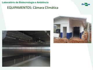EQUIPAMENTOS: Câmara Climática
Laboratório de Biotecnologia e Ambiência
 