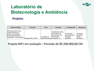 Projetos
Laboratório de
Biotecnologia e Ambiência
Título do Projeto Fonte R$ Líder Parceiros Formação RH Orçamento
Alternativas para uso de
vetores lentivirais na
geração de embriões
bovinos geneticamente
modificados - PA (finalizado)
Embrapa-MP2 e CNPq
Luiz Sérgio de
Almeida Camargo
CENARGEN, UECE,
Universidade de
Buenos Aires, AR,
Universidade
Concepcion, CL
1 Doutorado, 1
Pós-doutorado, 5
iniciações
científicas
Embrapa:
62.200,00
CNPq:
65.000,00
Projeto MP1 em avaliação – Previsão de R$ 200.000,00 CM
 