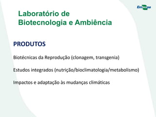 Laboratório de
Biotecnologia e Ambiência
PRODUTOS
Biotécnicas da Reprodução (clonagem, transgenia)
Estudos integrados (nutrição/bioclimatologia/metabolismo)
Impactos e adaptação às mudanças climáticas
 