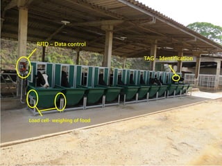 RFID – Data control
TAG - Identification
Load cell- weighing of food
 