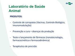 Laboratório de Saúde
Animal
PRODUTOS:
- Controle de carrapatos (Vacinas, Controle Biológico,
Imunomodulação)
- Prevenção x cura = doenças da produção
- Teste e lançamento de fármacos (nanotecnologia,
farmacocinética e farmacodinâmica)
- Terapêutica de precisão
 