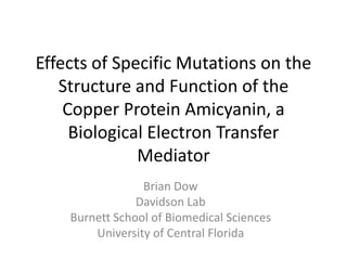 Effects of Specific Mutations on the
Structure and Function of the
Copper Protein Amicyanin, a
Biological Electron Transfer
Mediator
Brian Dow
Davidson Lab
Burnett School of Biomedical Sciences
University of Central Florida

 