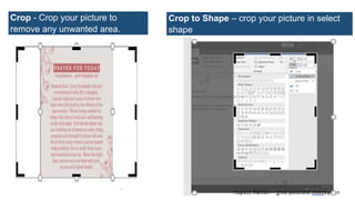 Crop - Crop your picture to
remove any unwanted area.
Crop to Shape – crop your picture in select
shape
 