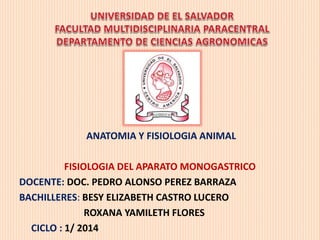 ANATOMIA Y FISIOLOGIA ANIMAL
FISIOLOGIA DEL APARATO MONOGASTRICO
DOCENTE: DOC. PEDRO ALONSO PEREZ BARRAZA
BACHILLERES: BESY ELIZABETH CASTRO LUCERO
ROXANA YAMILETH FLORES
CICLO : 1/ 2014
 