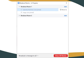 Quinto Webinario: Zoom