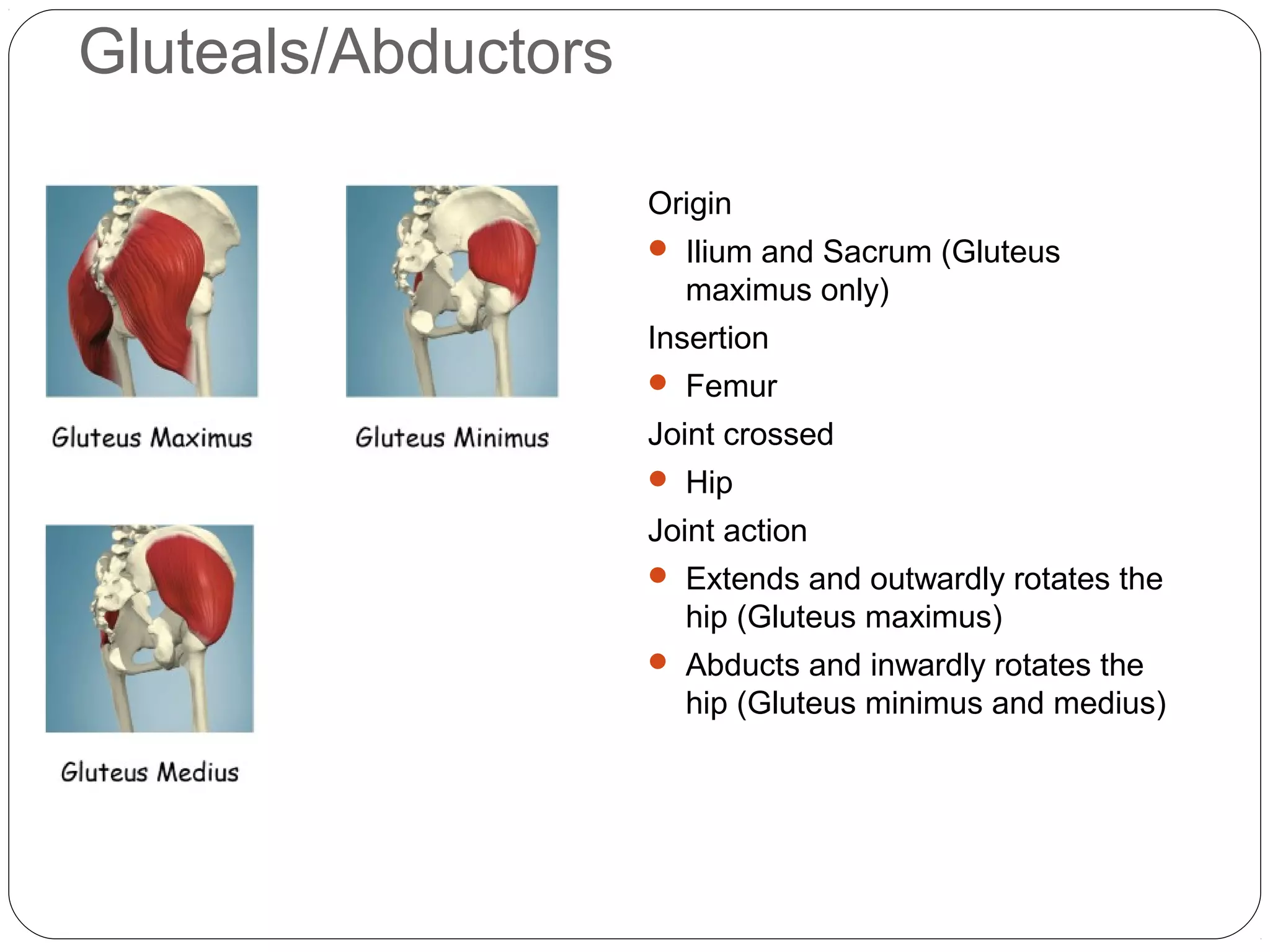W5 posture and core stability | PPT