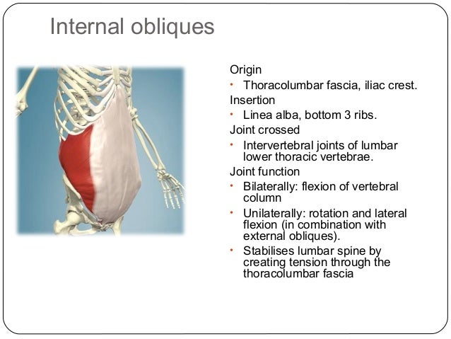 W5 posture and core stability