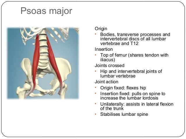 W5 posture and core stability