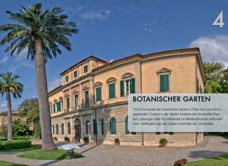 1543-44 wurde der botanische Garten in Pisa von Luca Ghini
gegründet. Cosimo I. de’ Medici forderte die Universität Pisa
auf, Lesungen über Arzneikräuter im Medizinstudium aufzuneh-
men. Anfänglich lag der Garten innerhalb der Universität.
BOTANISCHER GARTEN
4
 