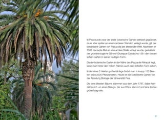 In Pisa wurde zwar der erste botanische Garten weltweit gegründet,
da er aber später an einem anderen Standort verlegt wurde, gilt der
botanische Garten von Padua als der älteste der Welt. Nachdem er
1563 das erste Mal an eine andere Stelle verlegt wurde, gestaltete
der grossherzogliche Gärtner Giuseppe Casabona 1591 den botani-
schen Garten in seiner heutigen Form.
Da der botanische Garten in der Nähe des Piazza dei Miracoli liegt,
kann man hinter den hohen Palmen auch den Schiefen Turm sehen.
In der etwa 3 Hektar großen Anlage ﬁndet man in knapp 150 Bee-
ten etwa 2000 Pﬂanzenarten. Heute ist der botanische Garten Teil
der Abteilung Biologie der Universität Pisa.
Die zwei ältesten Bäume stammen aus dem Jahr 1787, dabei han-
delt es ich um einen Ginkgo, der aus China stammt und eine Immer-
grüne Magnolie.
31
 