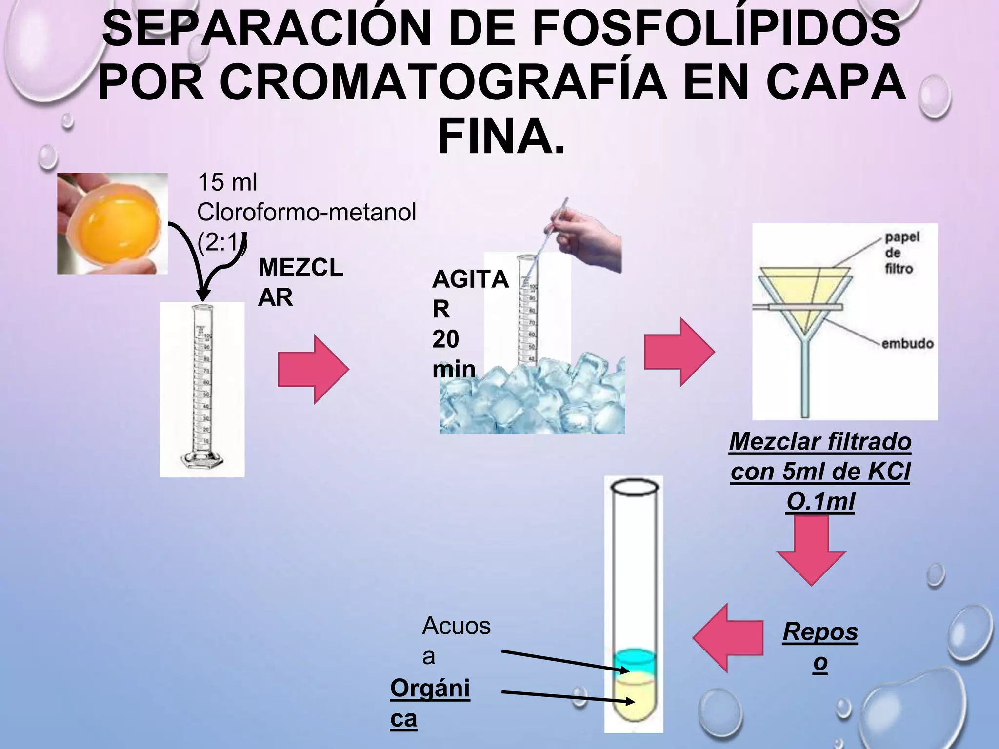 dihexa dosage wholisticresearch dihexa peptide wholisticresearch what is dihexa peptide  Could a tiny  peptide actually help your brain form new connections?-camerecole