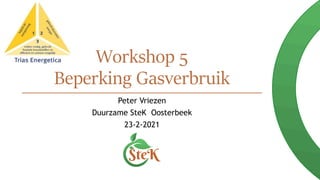 Workshop 5
Beperking Gasverbruik
Peter Vriezen
Duurzame SteK Oosterbeek
23-2-2021
 
