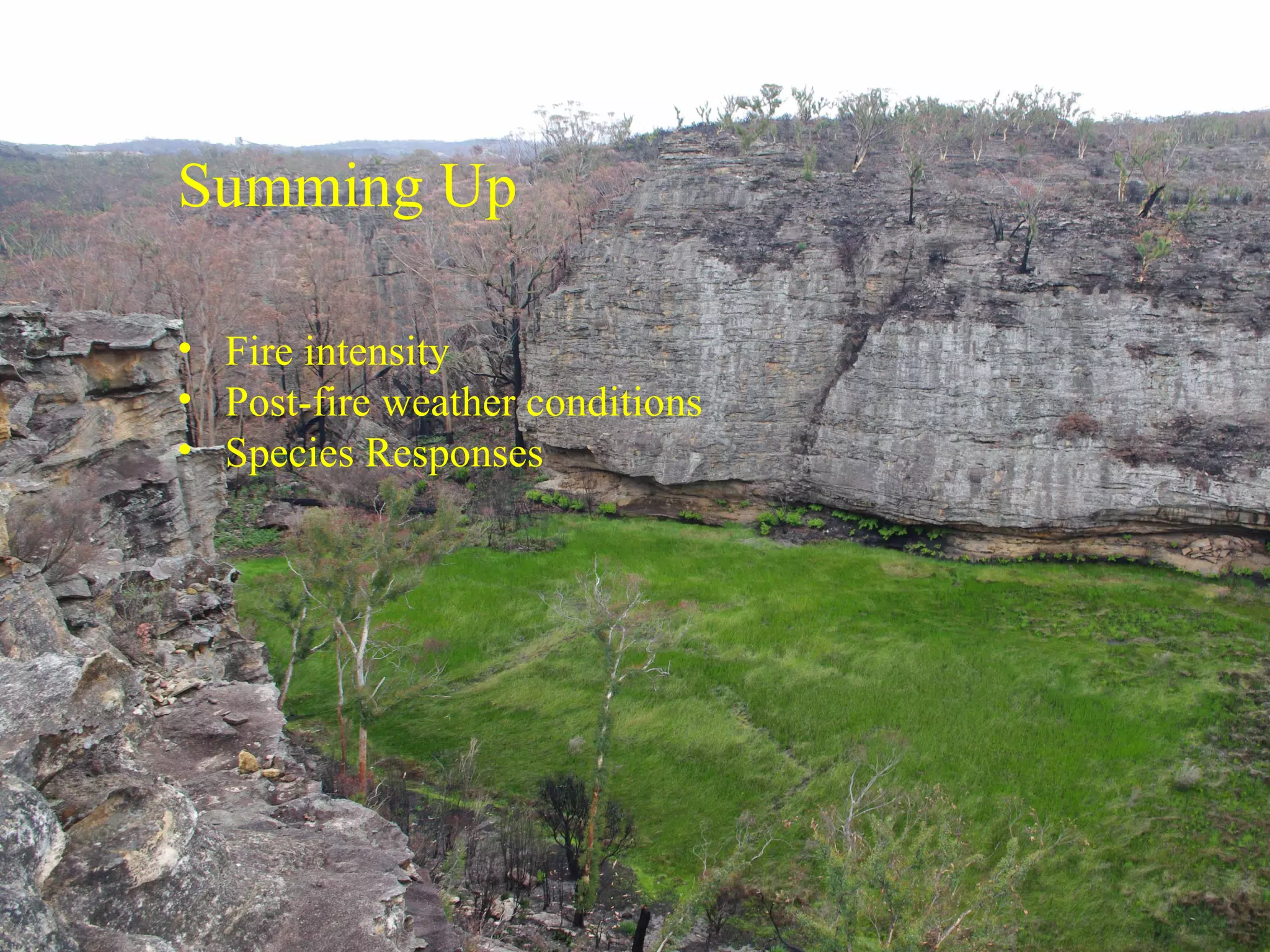 Summing Up
• Fire intensity
• Post-fire weather conditions
• Species Responses