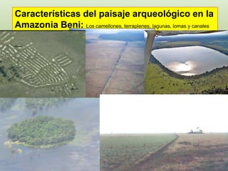 Características del paisaje arqueológico en la
Amazonia Beni: Los camellones, terraplenes, lagunas, lomas y canales
 