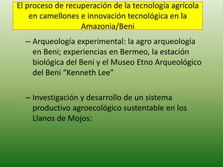 El proceso de recuperación de la tecnología agrícola
en camellones e innovación tecnológica en la
Amazonia/Beni
– Arqueología experimental: la agro arqueología
en Beni; experiencias en Bermeo, la estación
biológica del Beni y el Museo Etno Arqueológico
del Beni “Kenneth Lee”
– Investigación y desarrollo de un sistema
productivo agroecológico sustentable en los
Llanos de Mojos:
 