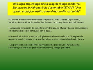 Dela agro arqueología hacia la agroecología moderna;
Biotecnología Hidroagrícola Sustentable (BTHAS),“Una
opción ecológica inédita para el desarrollo sostenible”
El primer modelo en comunidades campesinas; loma Suárez, Copacabana,
Varador y Puerto Almacén; Boibo, San Antonio de Loras y Santa Ana del Yacuma.
La segunda generación de camellones: Pedro Ignacio Muiba y Cuatro comunidades
en dos municipios del Beni (Vivir con el agua).
Los resultados de la nueva tecnología en camellones modernos: Sinergia en la
recuperación del pasado, el desarrollo del presente y potencialidades del futuro.
•Las proyecciones de la BTHAS: Nuevos Sistema productivos FAO-Amazonia
Sostenible; Las lomas de producción intensiva y refugio ganadero.
 