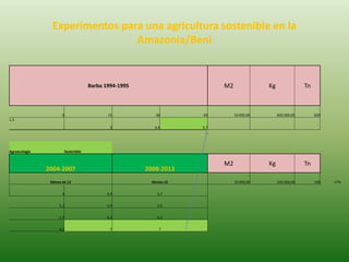 Experimentos para una agricultura sostenible en la
Amazonia/Beni
Barba 1994-1995 M2 Kg Tn
0 15 30 60 10.000,00 600.000,00 600
1,3
3 4,4 5,7
Agroecología Sostenible
2004-2007 2008-2013
M2 Kg Tn
Menos de 12 Menos 10 10.000,00 100.000,00 100 17%
4 4,4 4,7
5,1 5,9 5,5
5,7 6,5 6,3
6,1 7 7
 