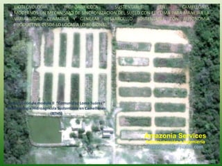 BIOTECNOLOGIA HIDROAGRICOLA SUSTENTABLE EN CAMELLONES
MODERNOS UN MECANISMO DE SINCRONIZACION DEL SUELO CON EL CLIMA PARA MANEJAR LA
VARIABILIDAD CLIMATICA Y GENERAR DESARROLLLO SUSTENTABLE CON AUTONOMIA
PRODUCTIVA DESDE LO LOCAL A LO REGIONAL
Construcción de modulo II “Comunidad Loma Suárez “
Biotecnología Hidroagrícola Sustentable en Camellones
(BTHS)
Amazonia Services
Administración e Ingeniería
osaavedraus@yahoo.com
 