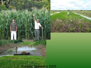 Fuente: Saavedra 2009
 