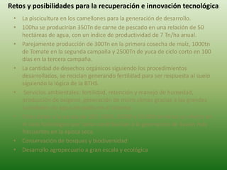 Retos y posibilidades para la recuperación e innovación tecnológica
• La piscicultura en los camellones para la generación de desarrollo.
• 100ha se producirían 350Tn de carne de pescado en una relación de 50
hectáreas de agua, con un índice de productividad de 7 Tn/ha anual.
• Parejamente producción de 300Tn en la primera cosecha de maíz, 1000tn
de Tomate en la segunda campaña y 2500Tn de yuca de ciclo corto en 100
días en la tercera campaña.
• La cantidad de desechos orgánicos siguiendo los procedimientos
desarrollados, se reciclan generando fertilidad para ser respuesta al suelo
siguiendo la lógica de la BTHS.
• Servicios ambientales: fertilidad, retención y manejo de humedad,
producción de oxigeno, generación de micro climas gracias a las grandes
cantidades de agua atrapada en el sistema,
• Estos datos a la escala de 100, 1000, 10000 y 50.000 tendrían un efecto en
el ciclo hidrológico por tanto contribuirían a la generación de lluvias más
frecuentes en la época seca.
• Conservación de bosques y biodiversidad
• Desarrollo agropecuario a gran escala y ecológica
 