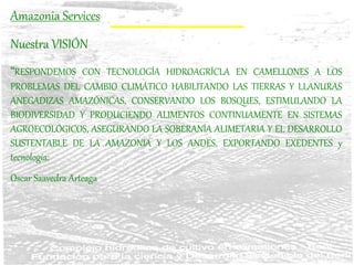 Amazonia Services
Nuestra VISIÓN
“RESPONDEMOS CON TECNOLOGÍA HIDROAGRÍCLA EN CAMELLONES A LOS
PROBLEMAS DEL CAMBIO CLIMÁTICO HABILITANDO LAS TIERRAS Y LLANURAS
ANEGADIZAS AMAZÓNICAS, CONSERVANDO LOS BOSQUES, ESTIMULANDO LA
BIODIVERSIDAD Y PRODUCIENDO ALIMENTOS CONTINUAMENTE EN SISTEMAS
AGROECOLÓGICOS, ASEGURANDO LA SOBERANÍA ALIMETARIA Y EL DESARROLLO
SUSTENTABLE DE LA AMAZONIA Y LOS ANDES, EXPORTANDO EXEDENTES y
tecnología:
Oscar Saavedra Arteaga
 