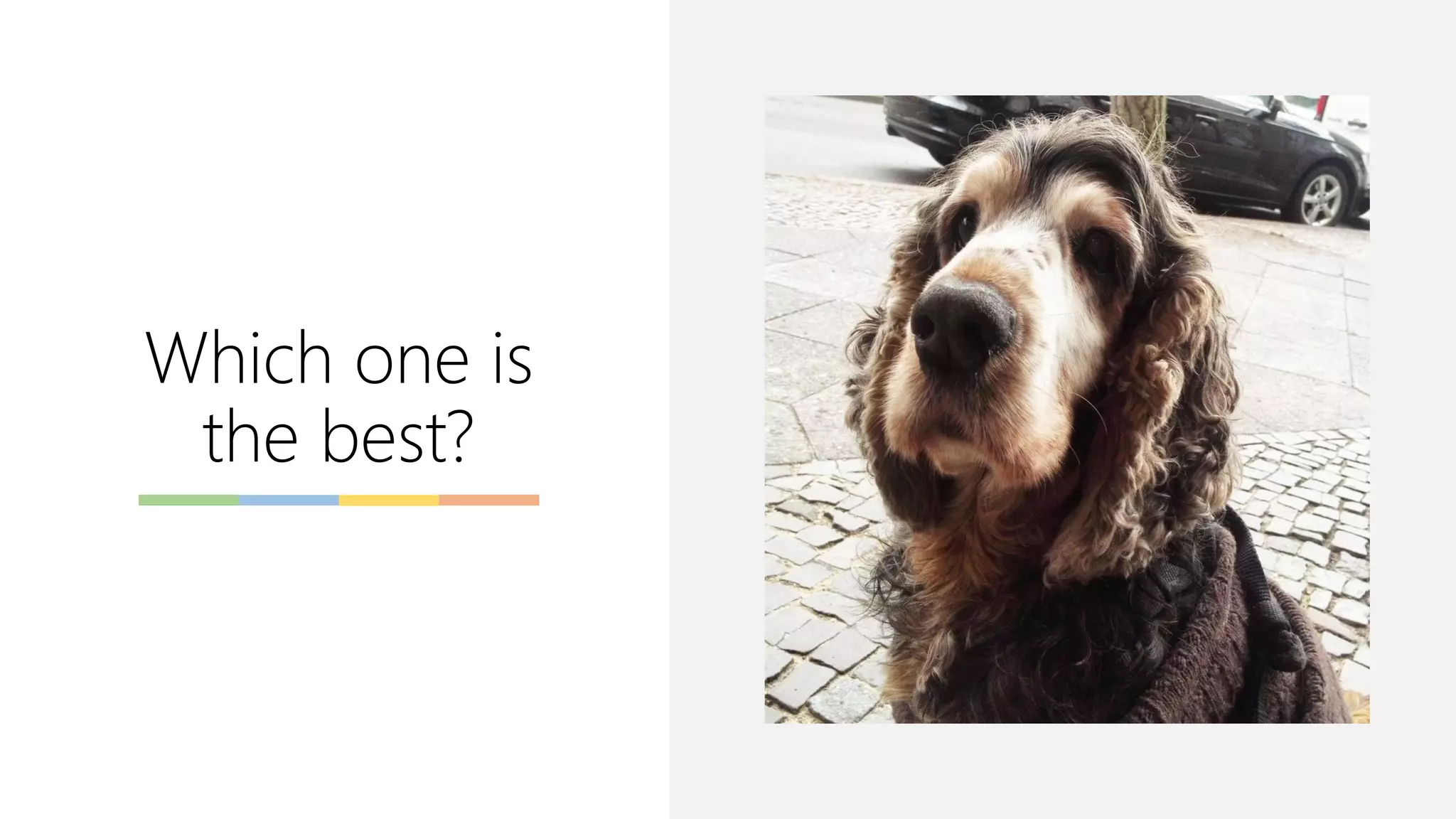 Which one is
the best?
 