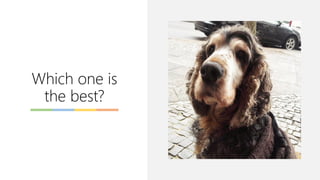 Which one is
the best?
 