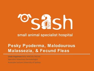 Pesky Pyoderma, Malodourous
Malassezia, & Fecund Fleas
Linda Vogelnest BVSc MACVSc FACVSc
Specialist Veterinary Dermatologist
Associate Lecture University of Sydney
 