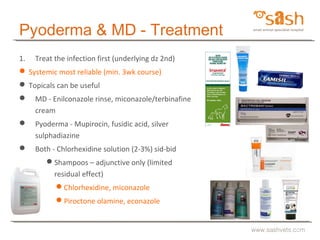 Pyodderrm Cream SASH : Pyoderma malodourous malassezia and fecund fleas by Dr Linda ...